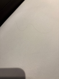 Hair in bed
