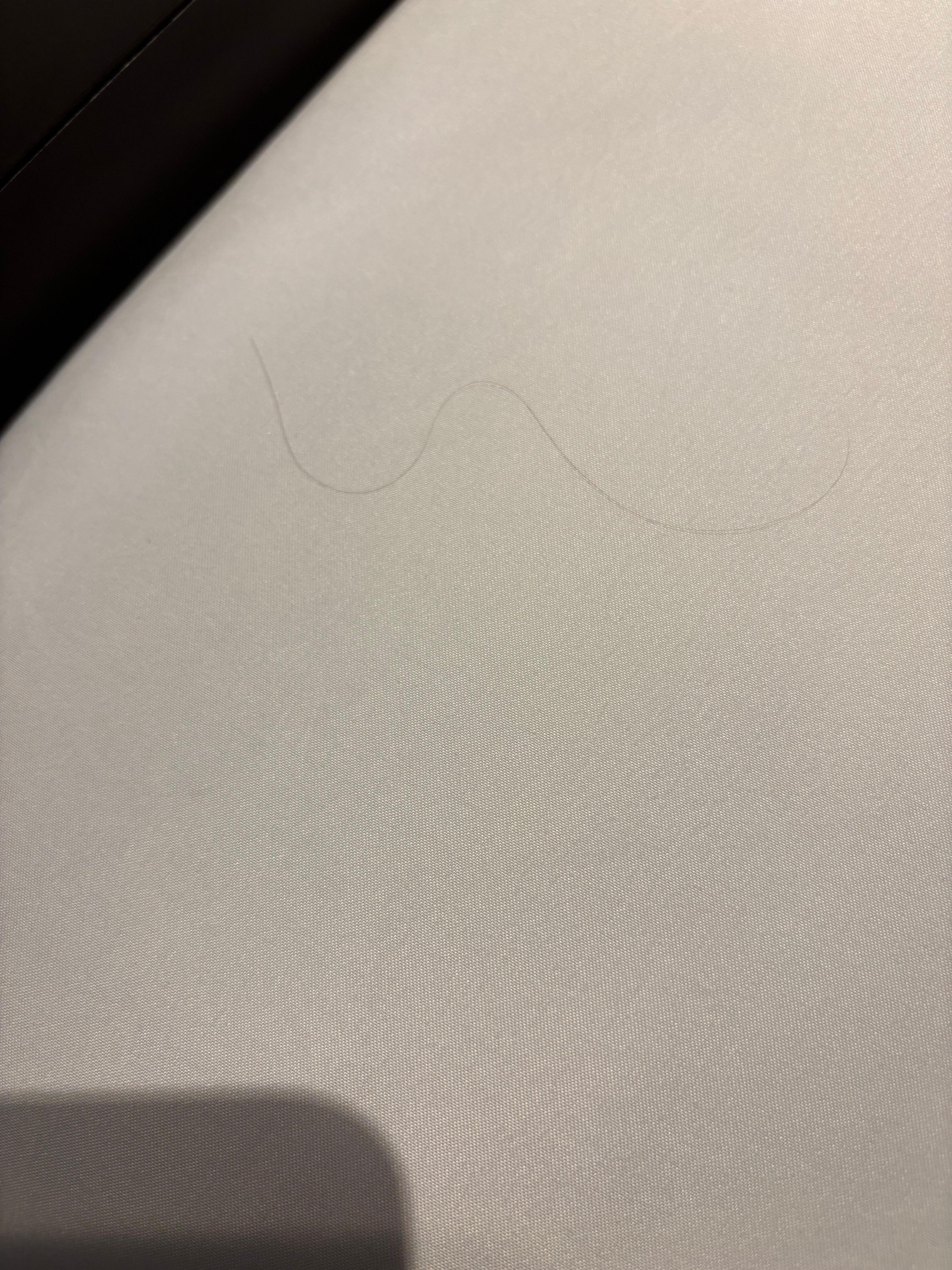 Hair in bed