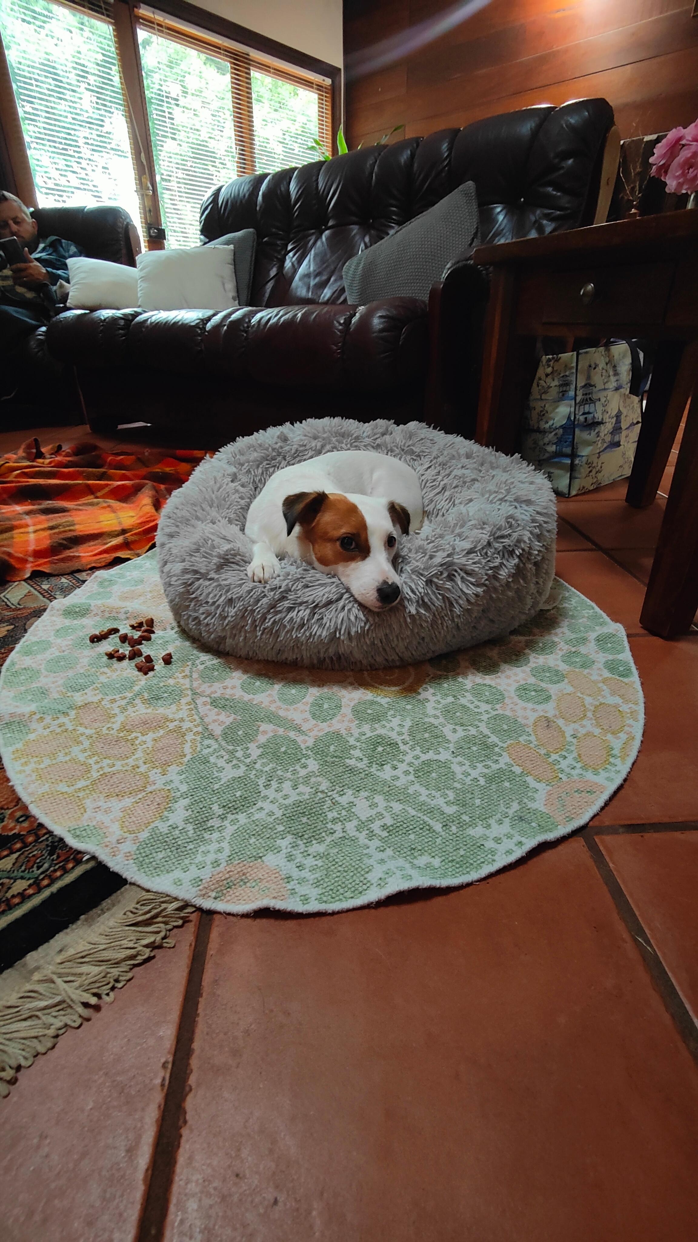 Little Mazie loved her stay. 