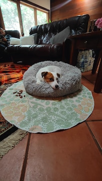 Little Mazie loved her stay.