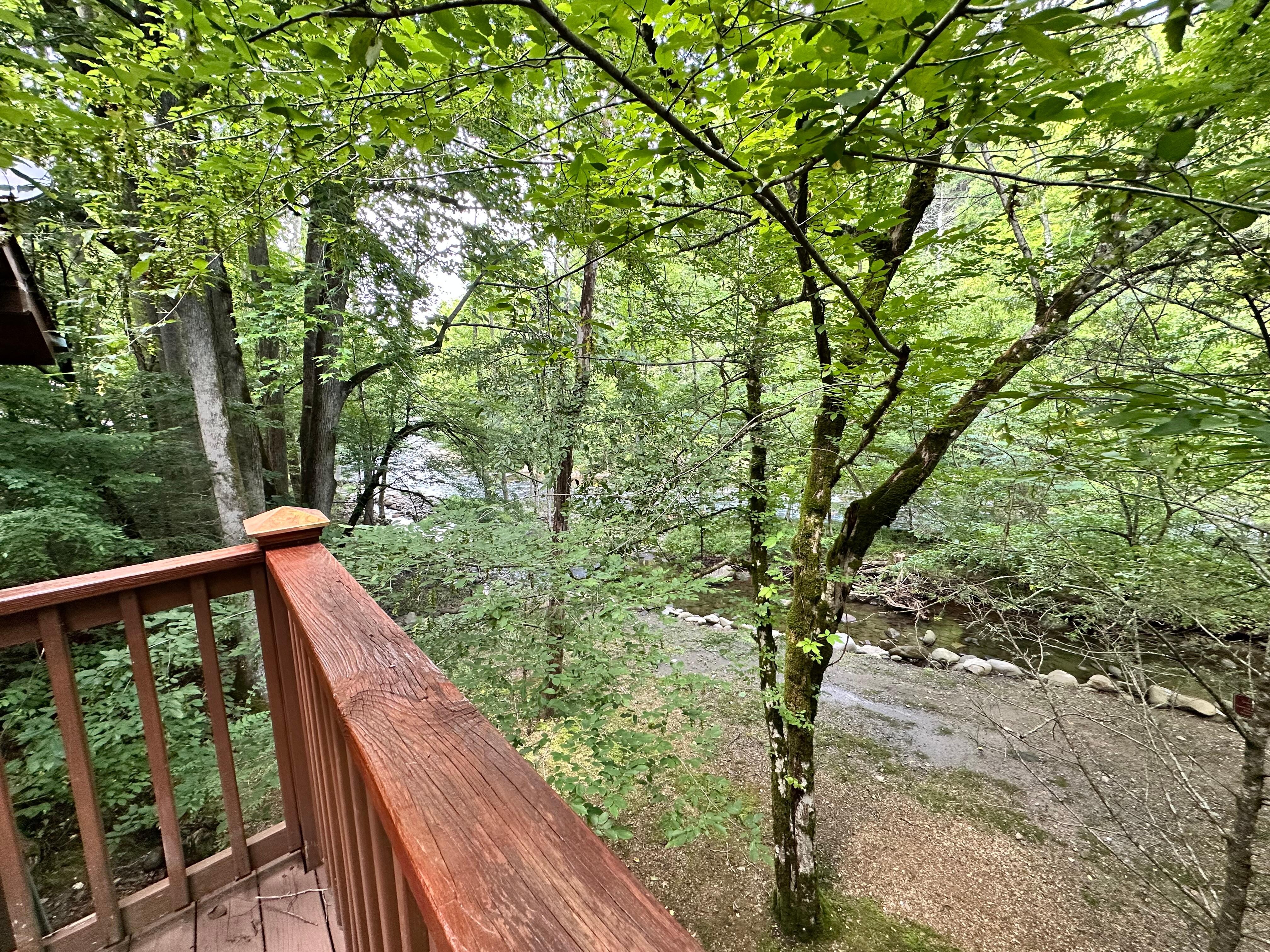 This is the view of river from the back porch that walks out from bedroom on left of living room.