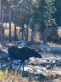 Snowy Mountain Range close to yurt