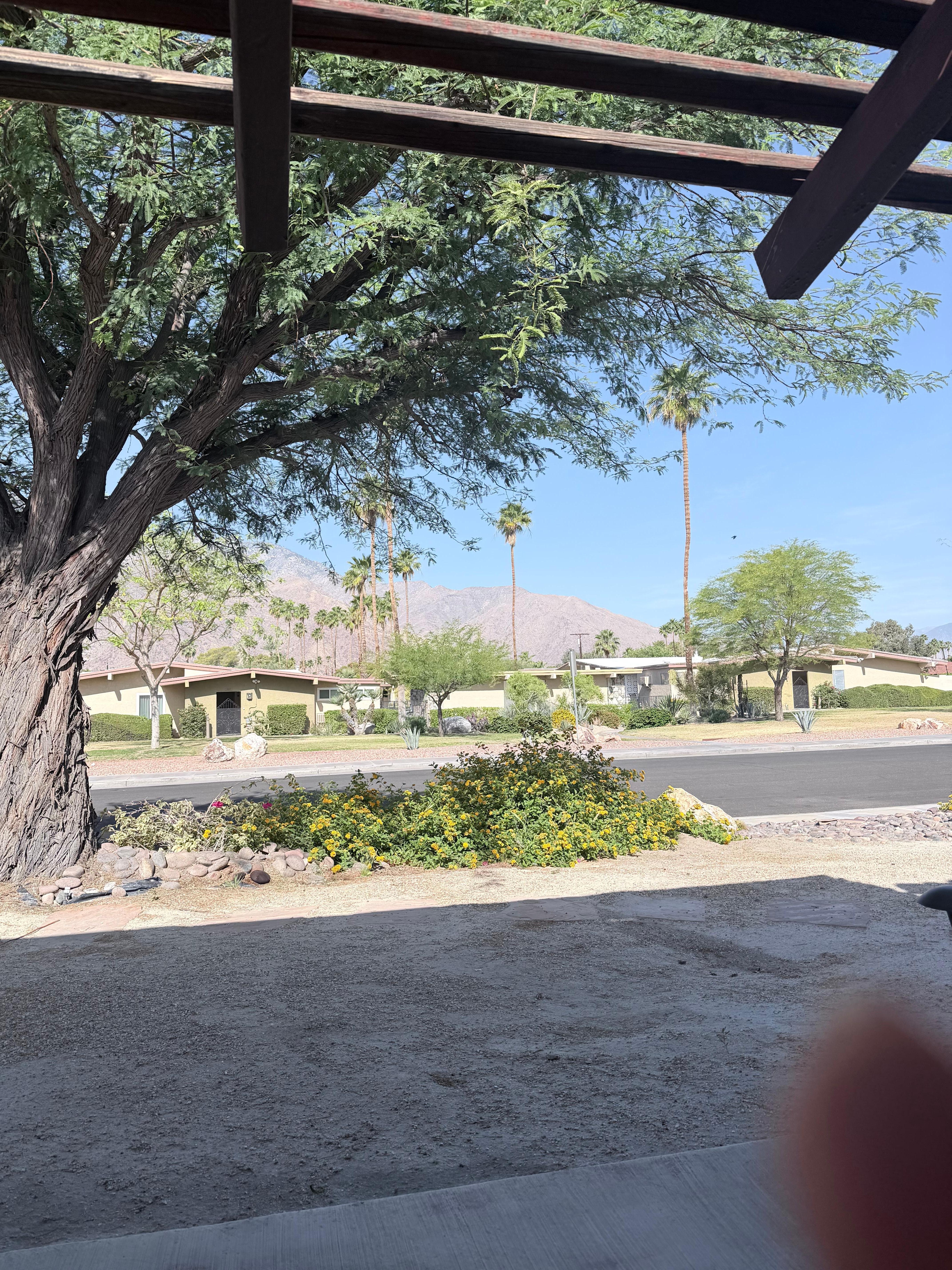 View from the front door 