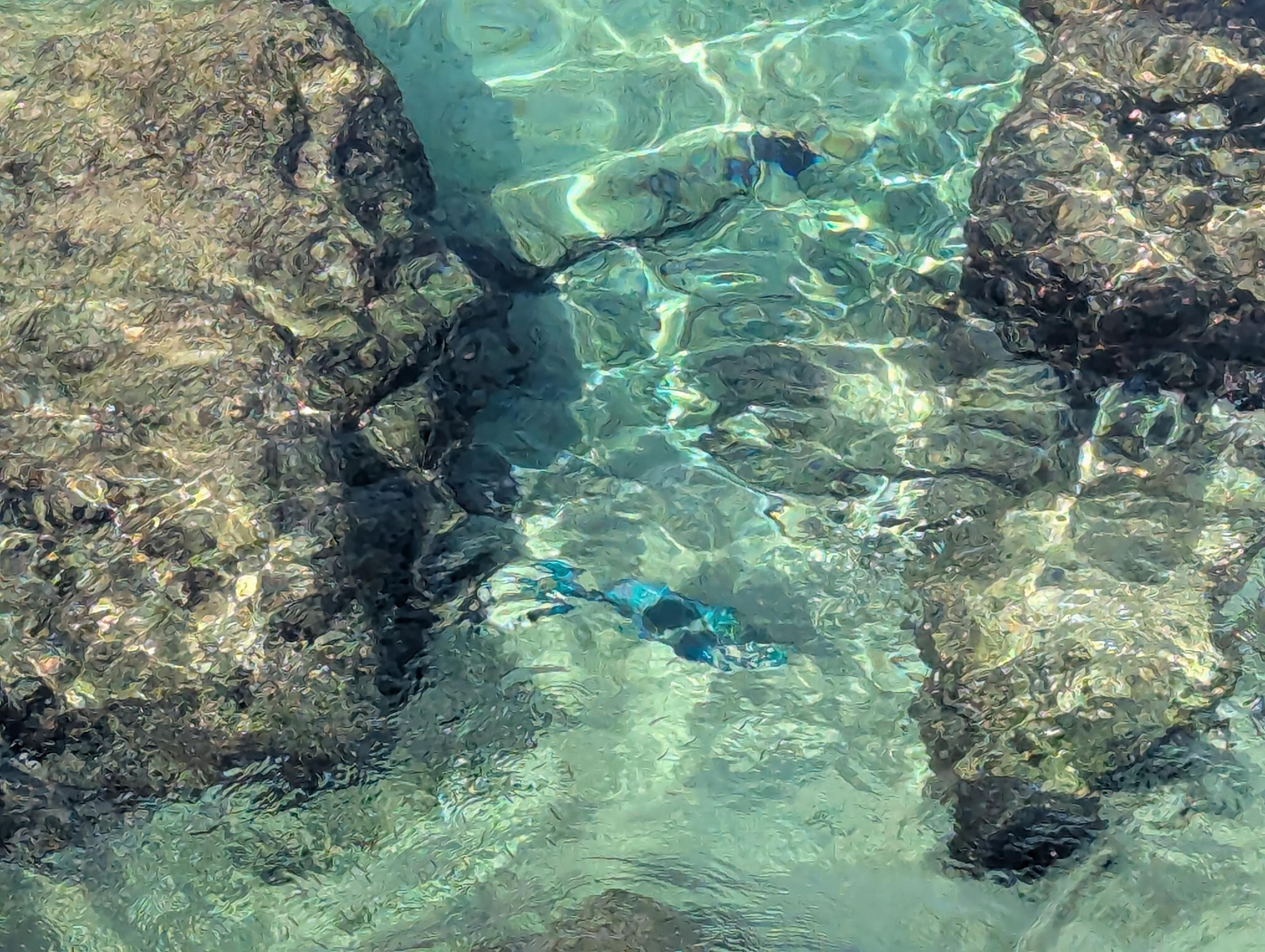 Water so clear.  Lots of fish!