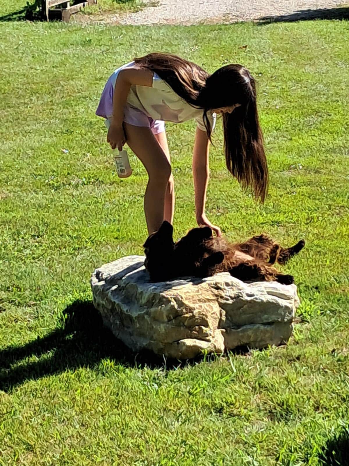 Lotte enjoying tummy rubs!