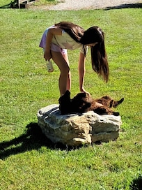 Lotte enjoying tummy rubs!