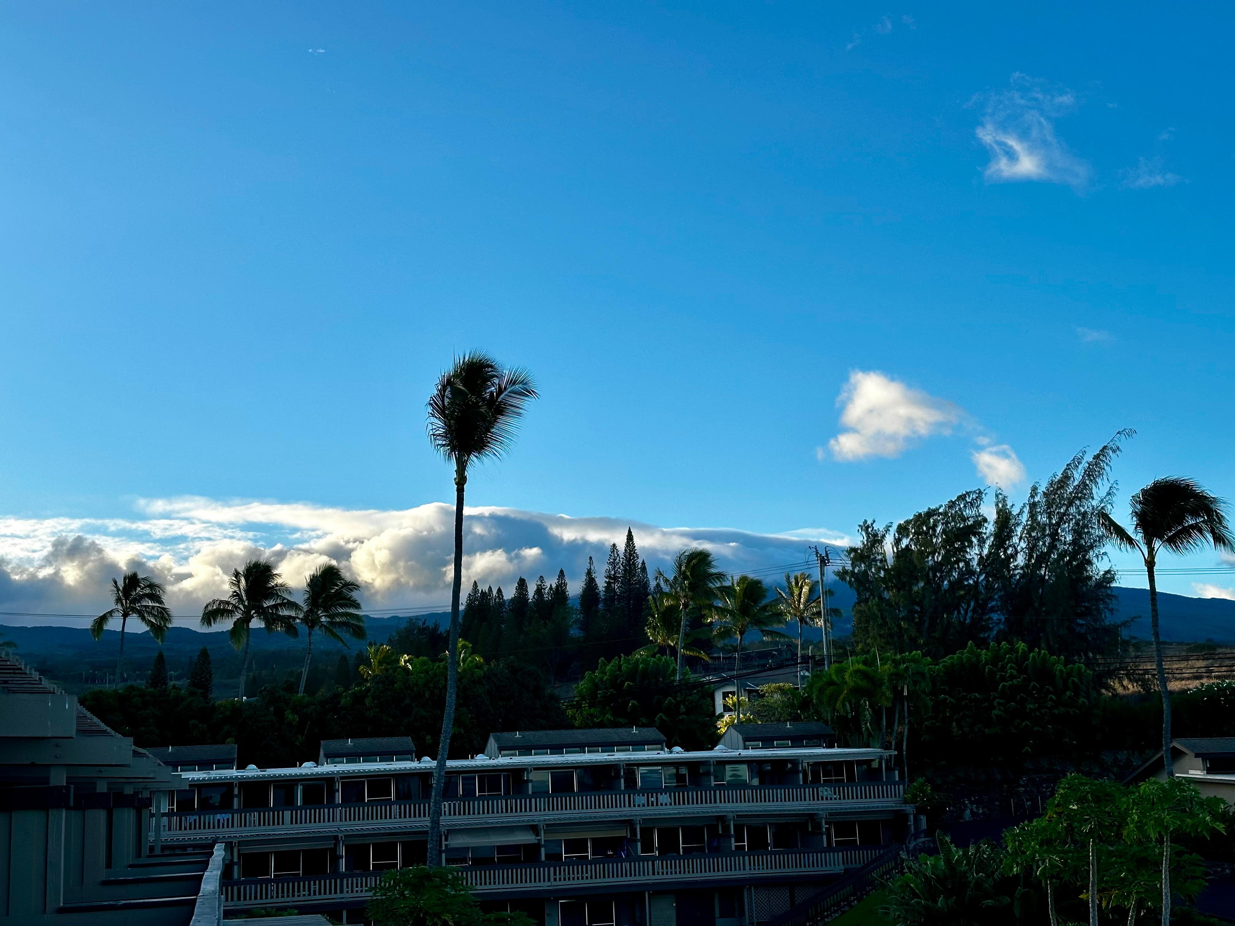 Mountain views in the morning 