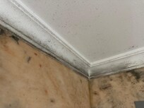 Mould on the bathroom ceiling