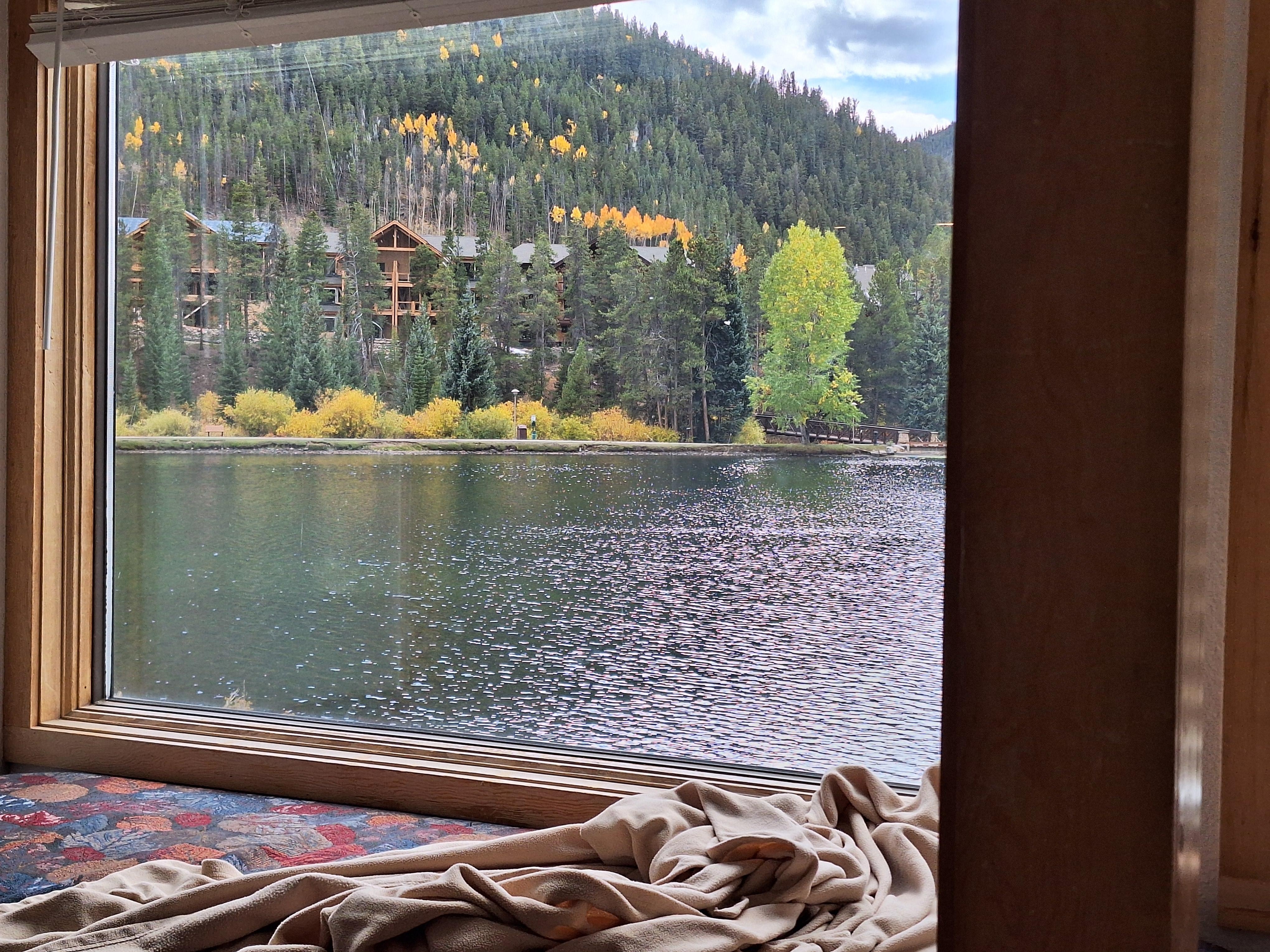 The view out our window while we read our books. 