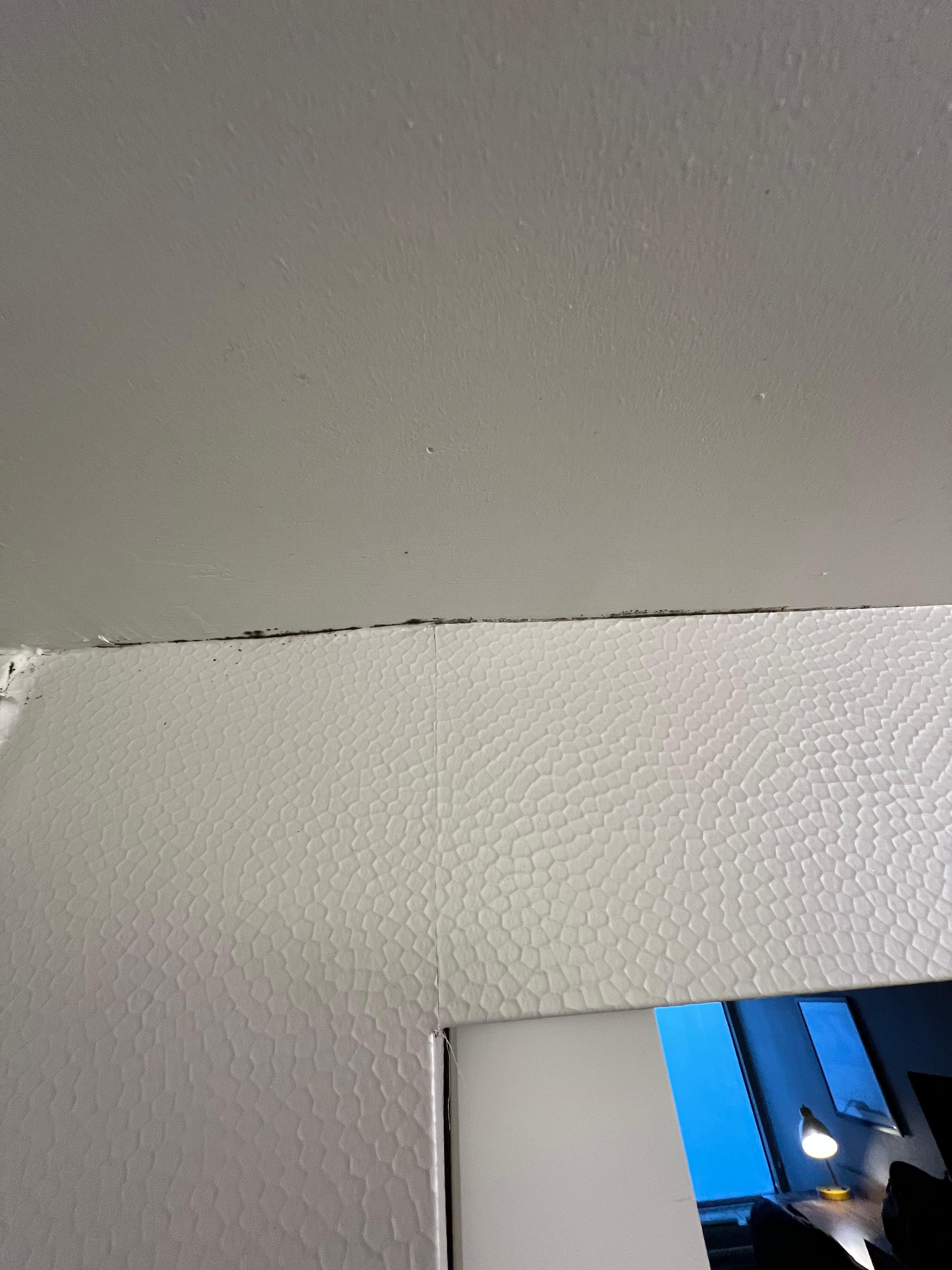 Visible Mold in the bathroom 