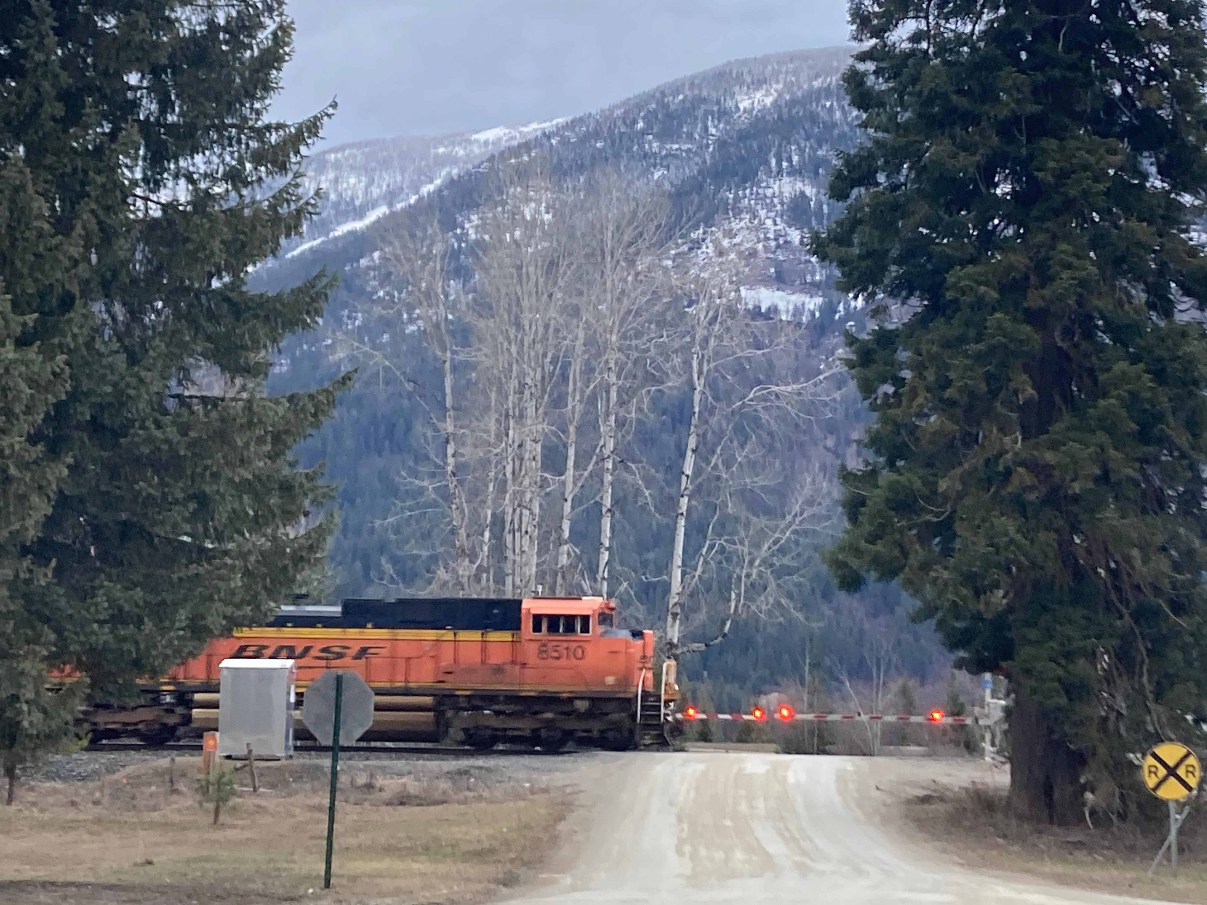 Train in evening from road beside cabin.