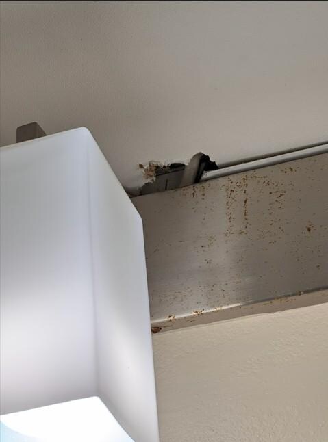 Hole in bathroom ceiling with visible chew marks.