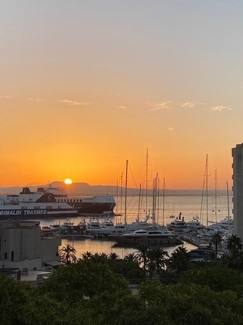 Godmorgon Palma! Utsikt från balkongen på fina Hotel Feliz.