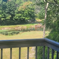 View off deck. Deer in backyard ducks enjoying a splash in the lake, white squirrels too.