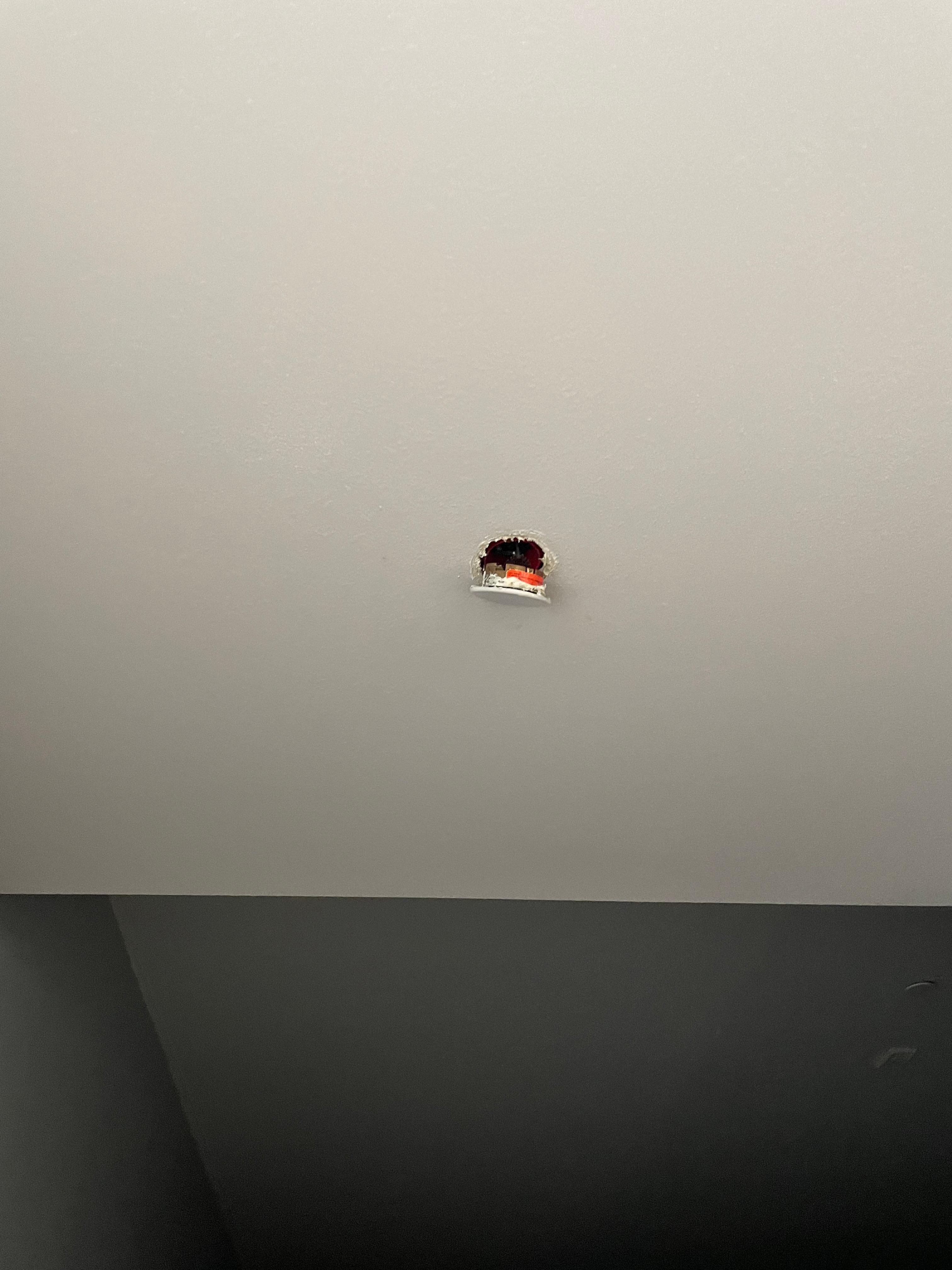 Fire suppression system 