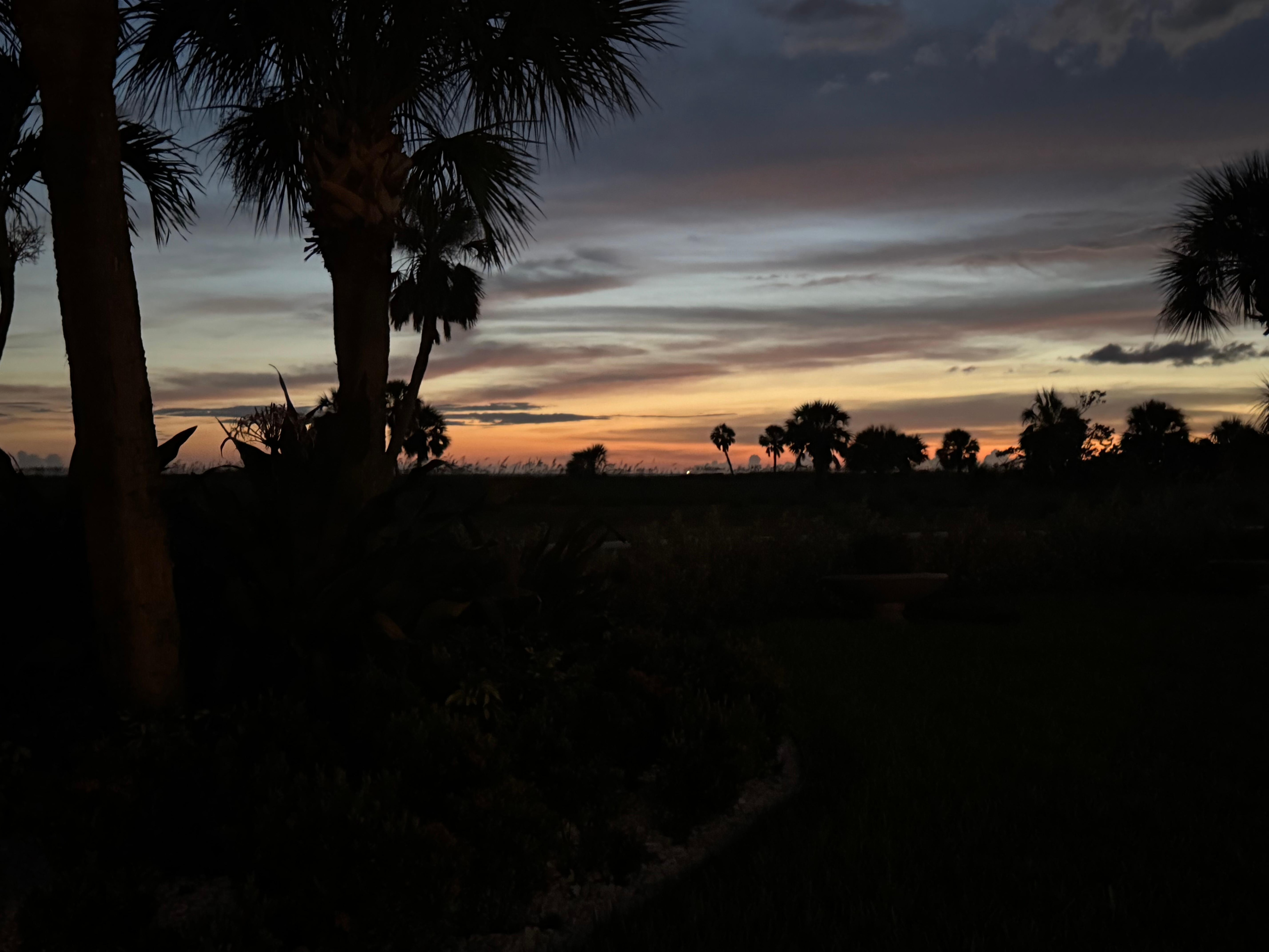 Sunset sitting at the hammocks