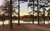 Fishing off the pier