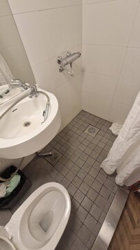 Shower water is only warm. If you want a hot shower, you must use the bidet shower from the toilet since this is the only way to get hot water. The downside is that you have to squat the whole time and its not super hygienic after you sprayed.