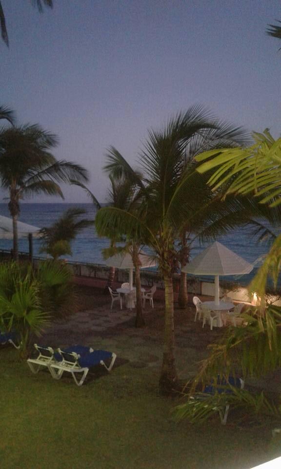 View from the room
