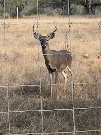 View from back porch