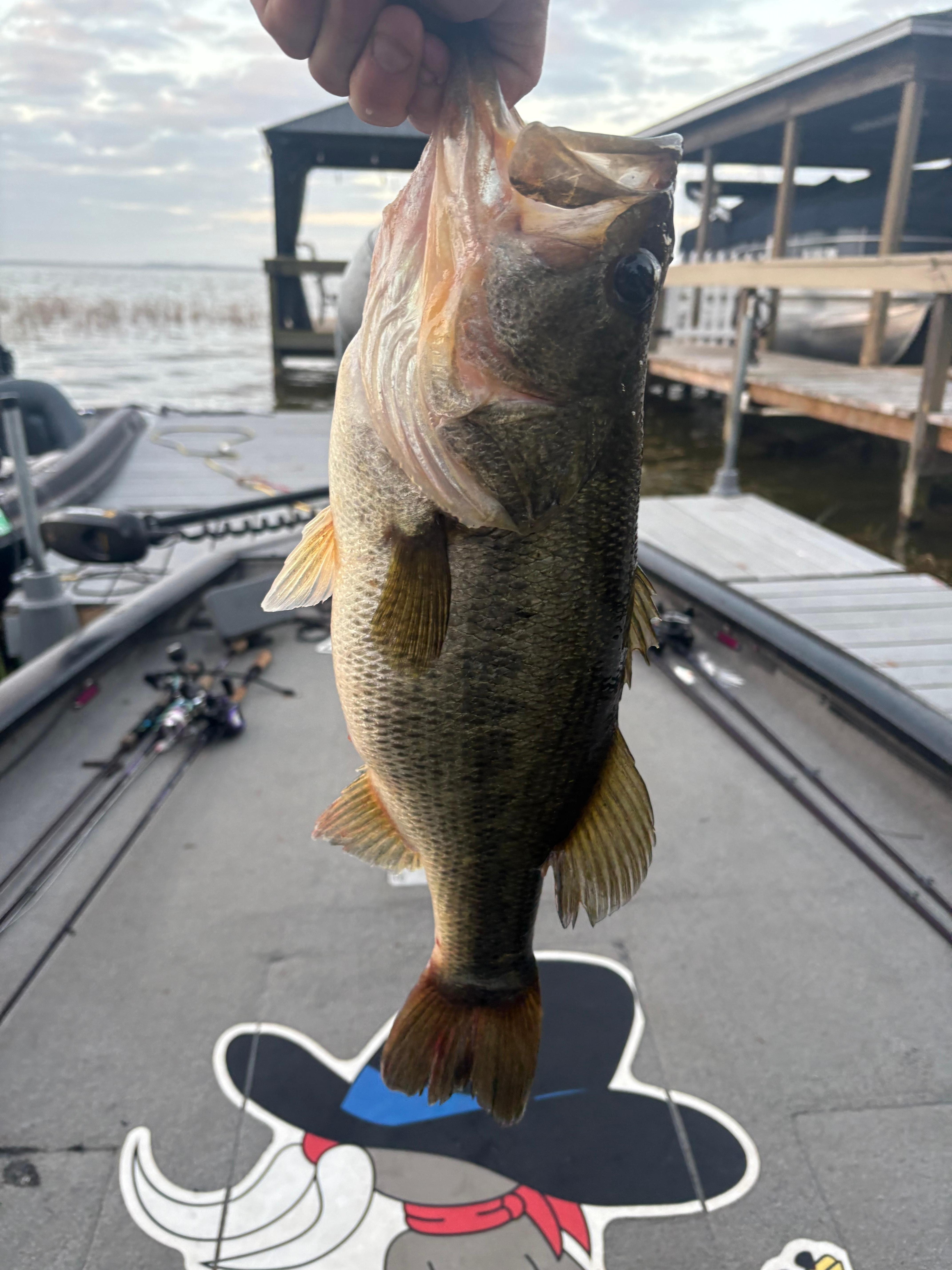3.5lb largemouth right at the dock 