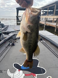 3.5lb largemouth right at the dock