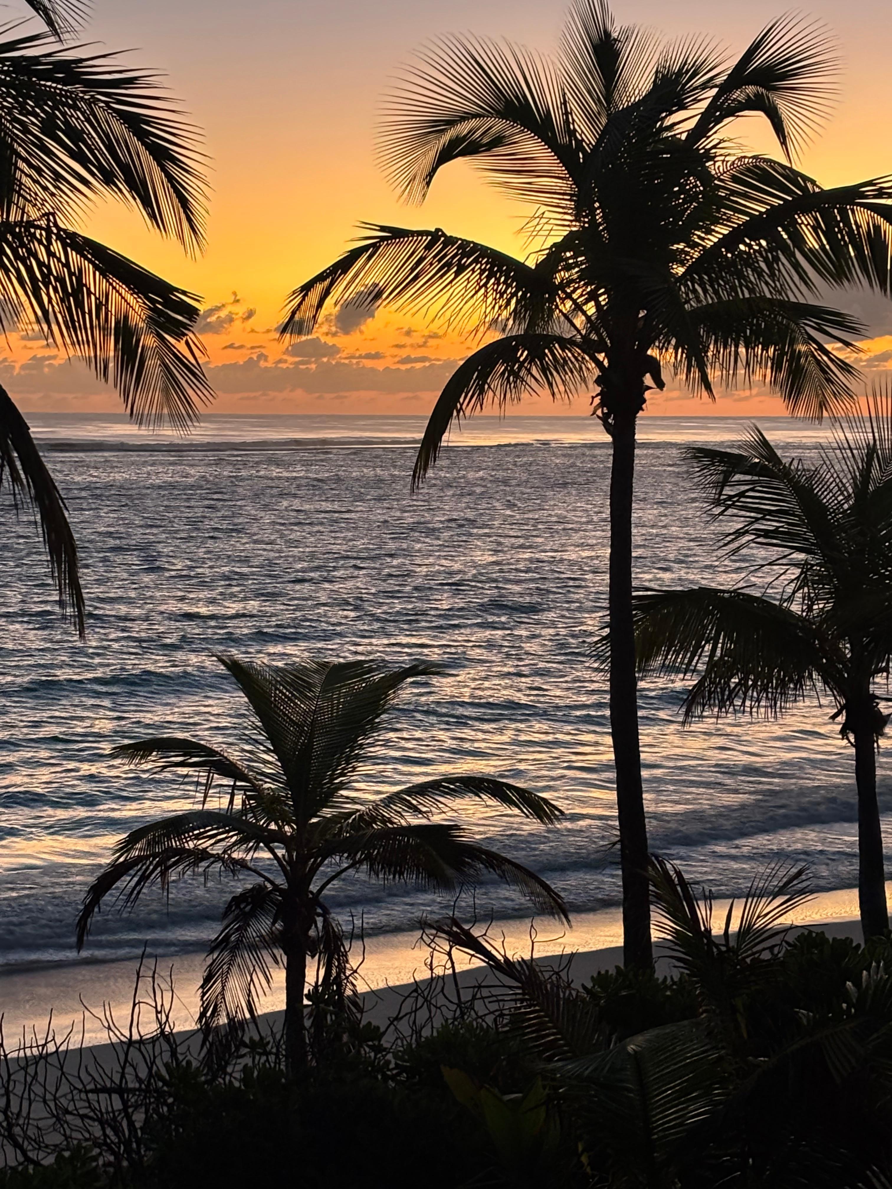 Woke up early for the final day sunrise.