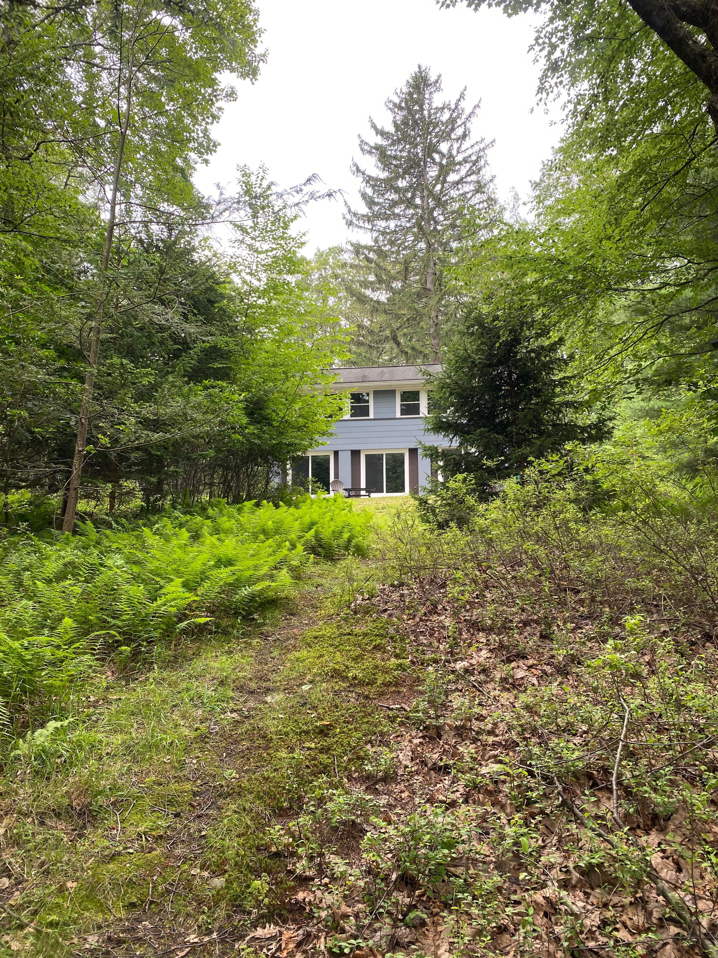 A view from the back