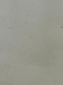 hair in tub
