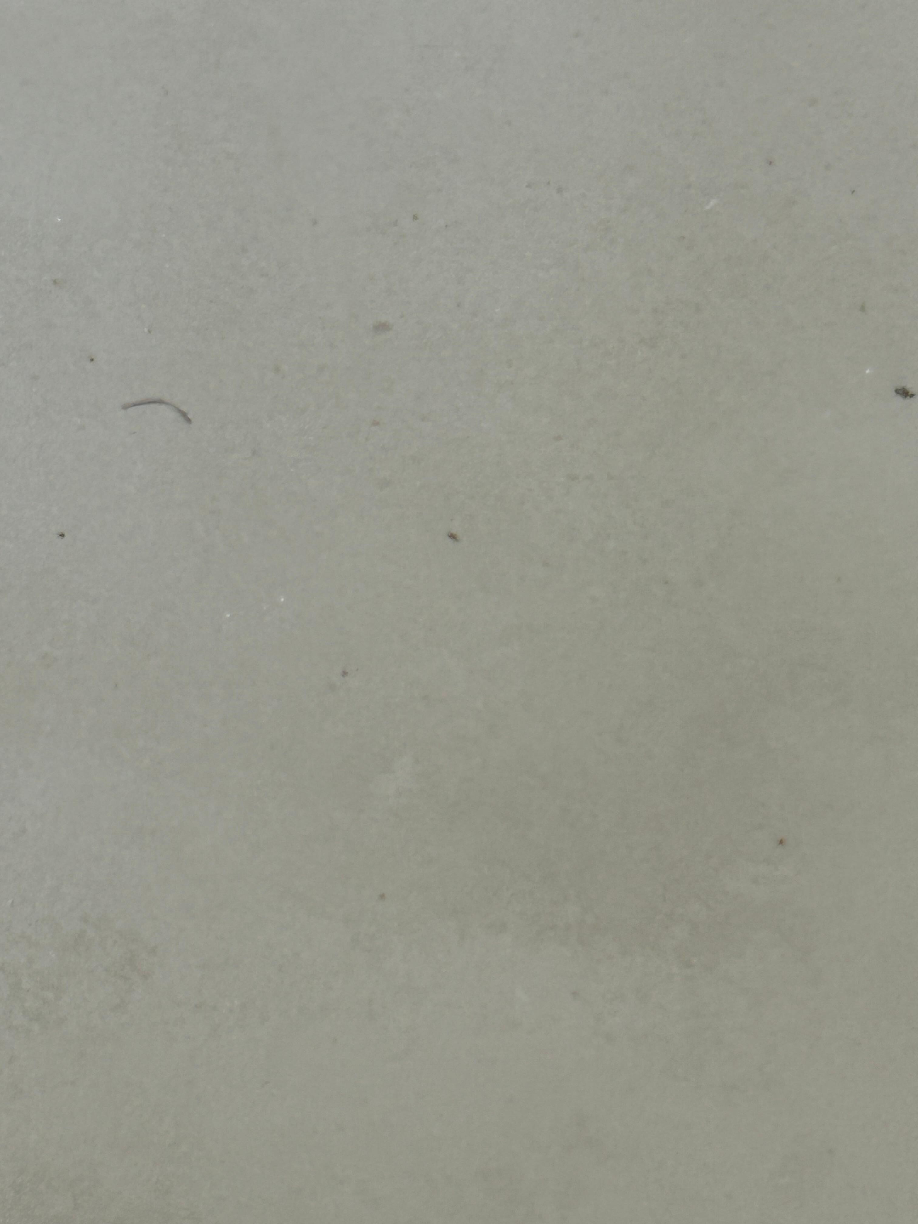 hair in tub