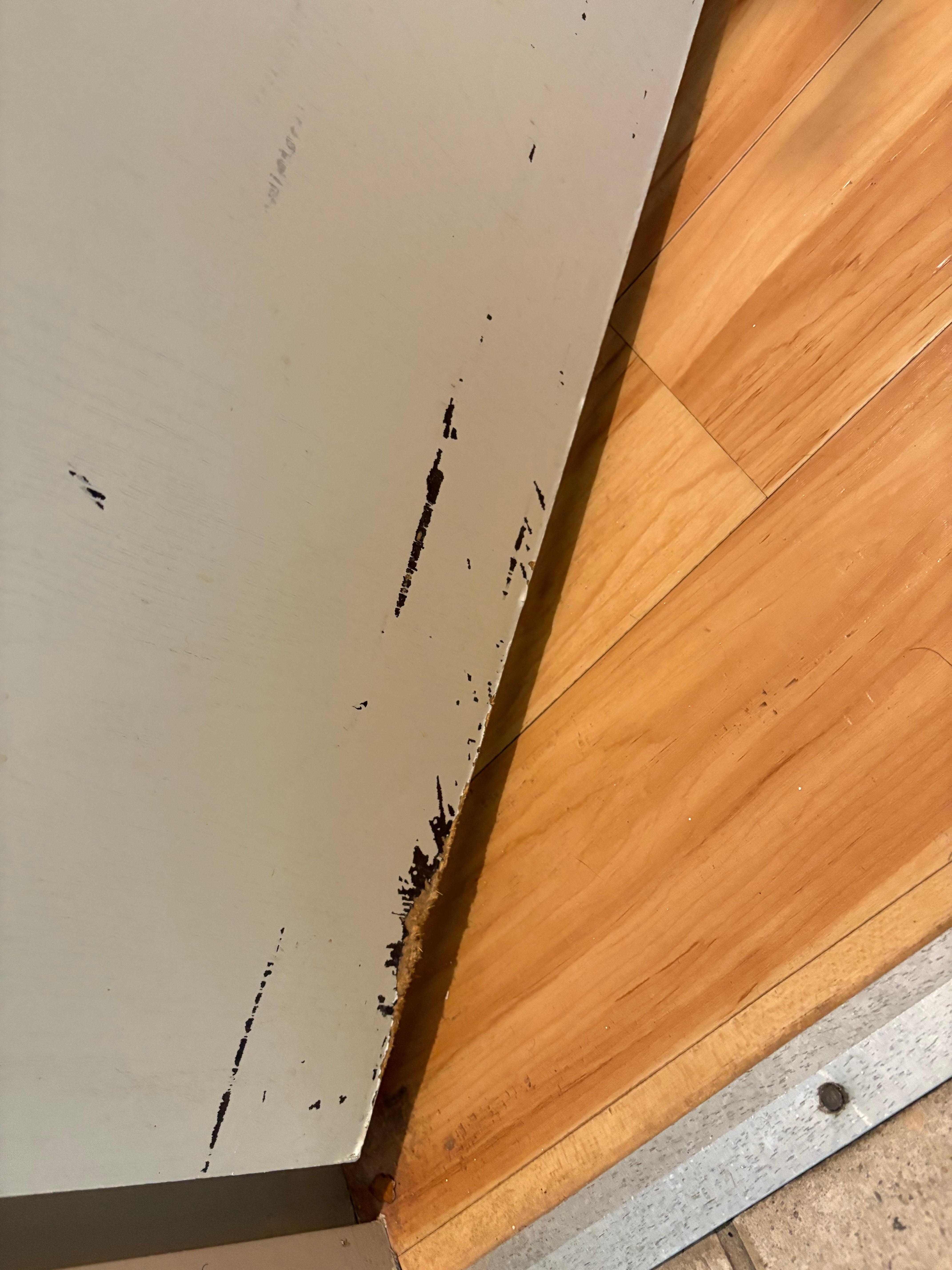 Scuffed up door