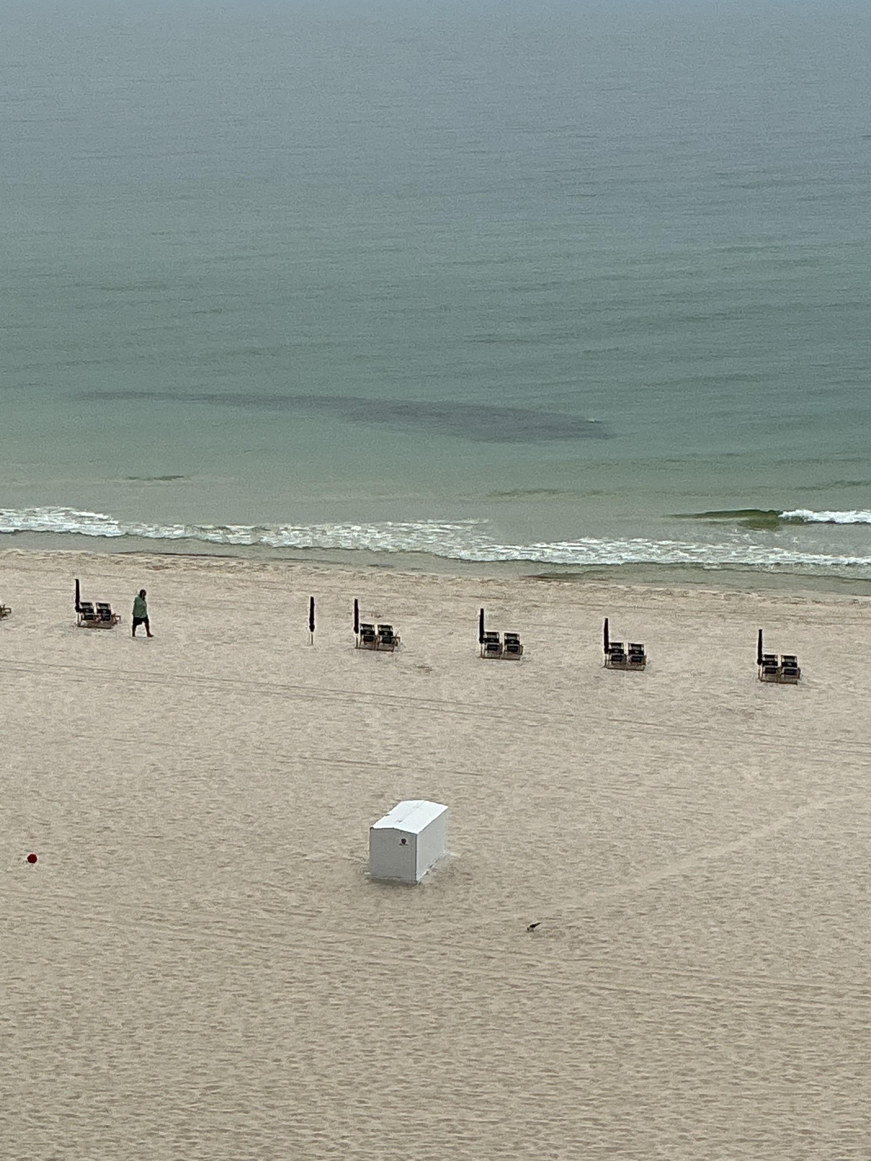 School of fish, from the balcony.