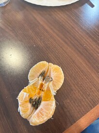rotten orange