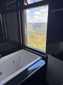 Bathroom view