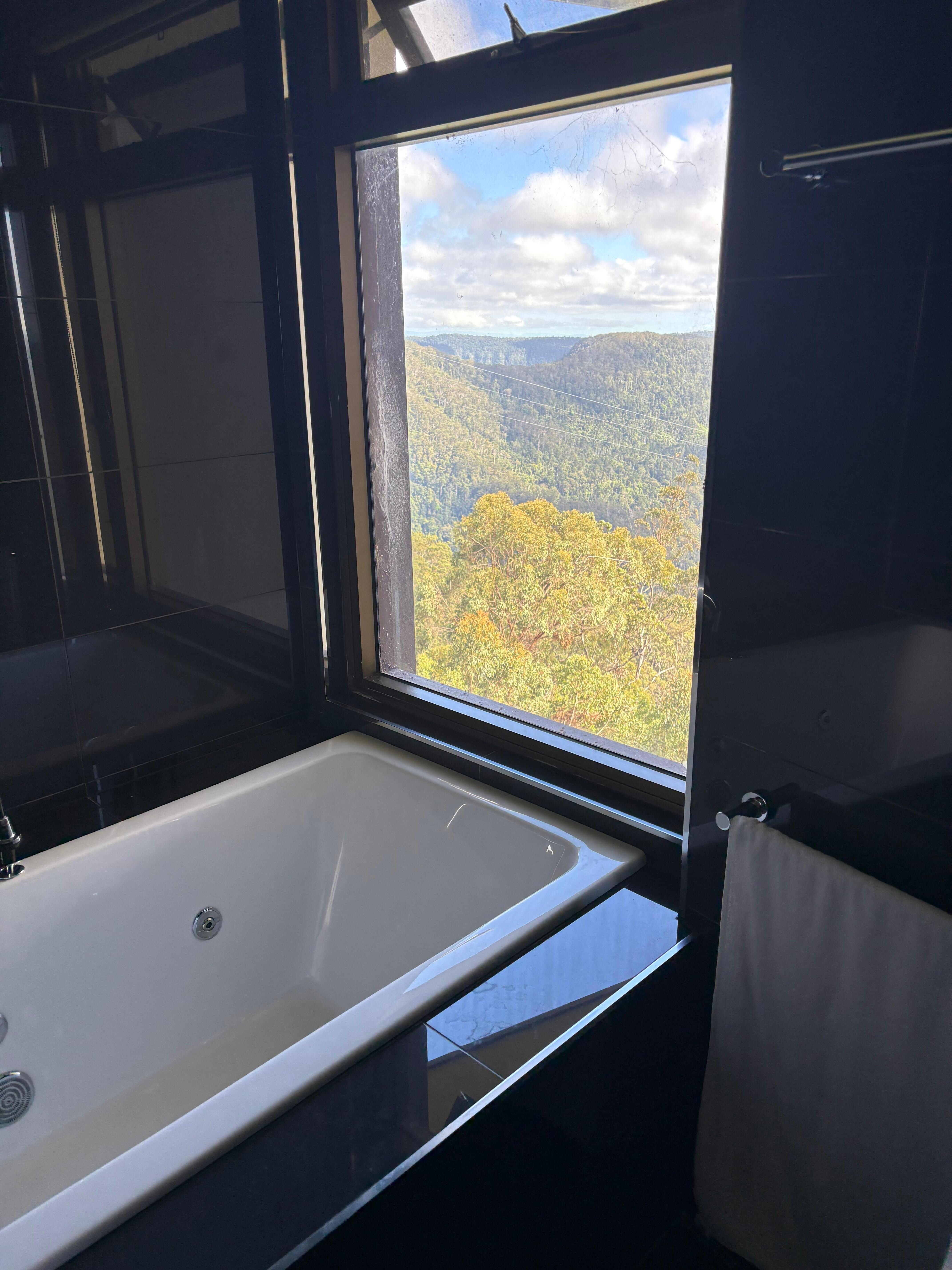 Bathroom view