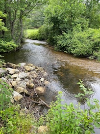 babbling creek next to cabin
