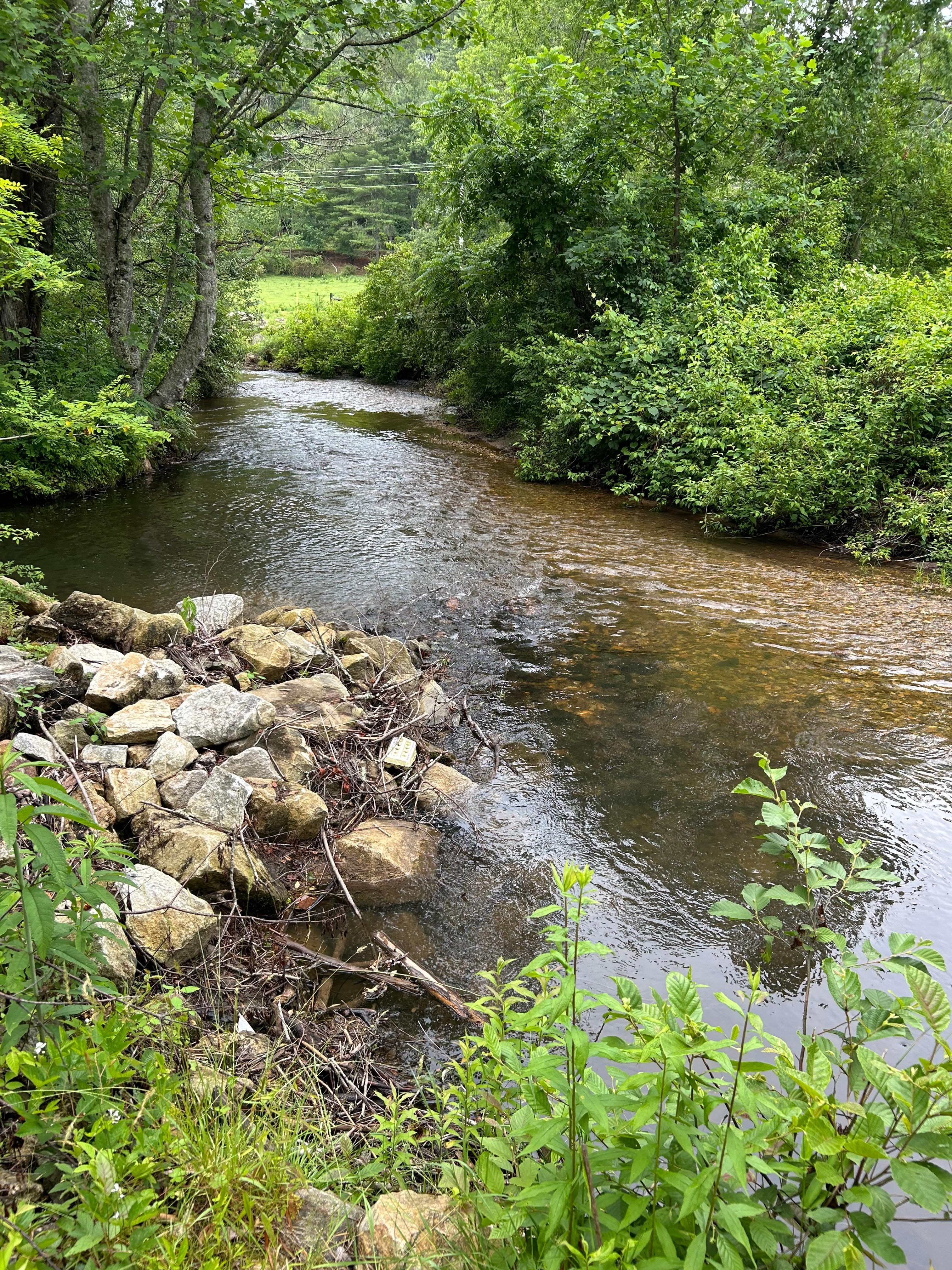 babbling creek next to cabin
