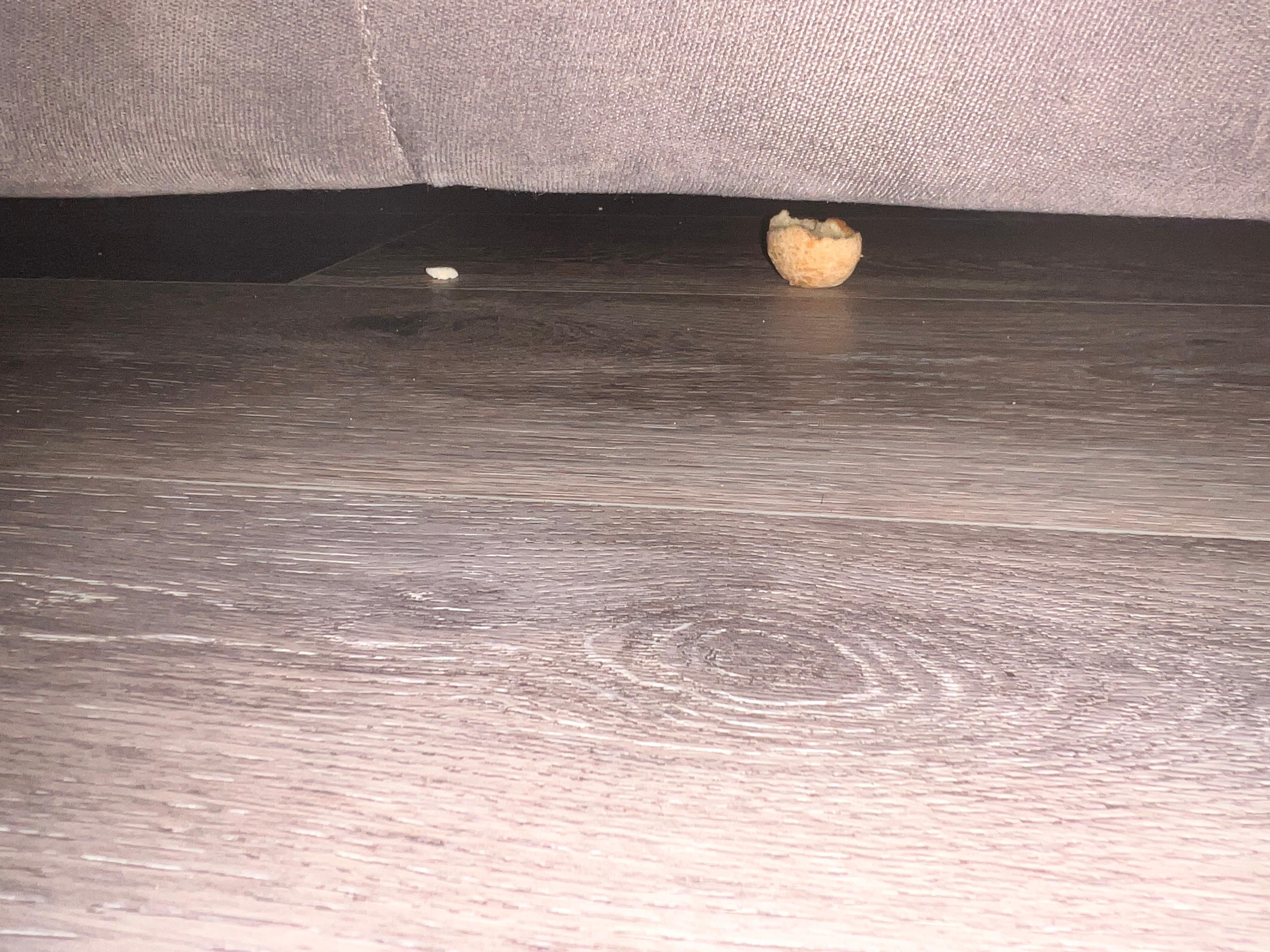 Chips under the pull-up couch 