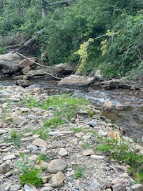 The creek in back.
