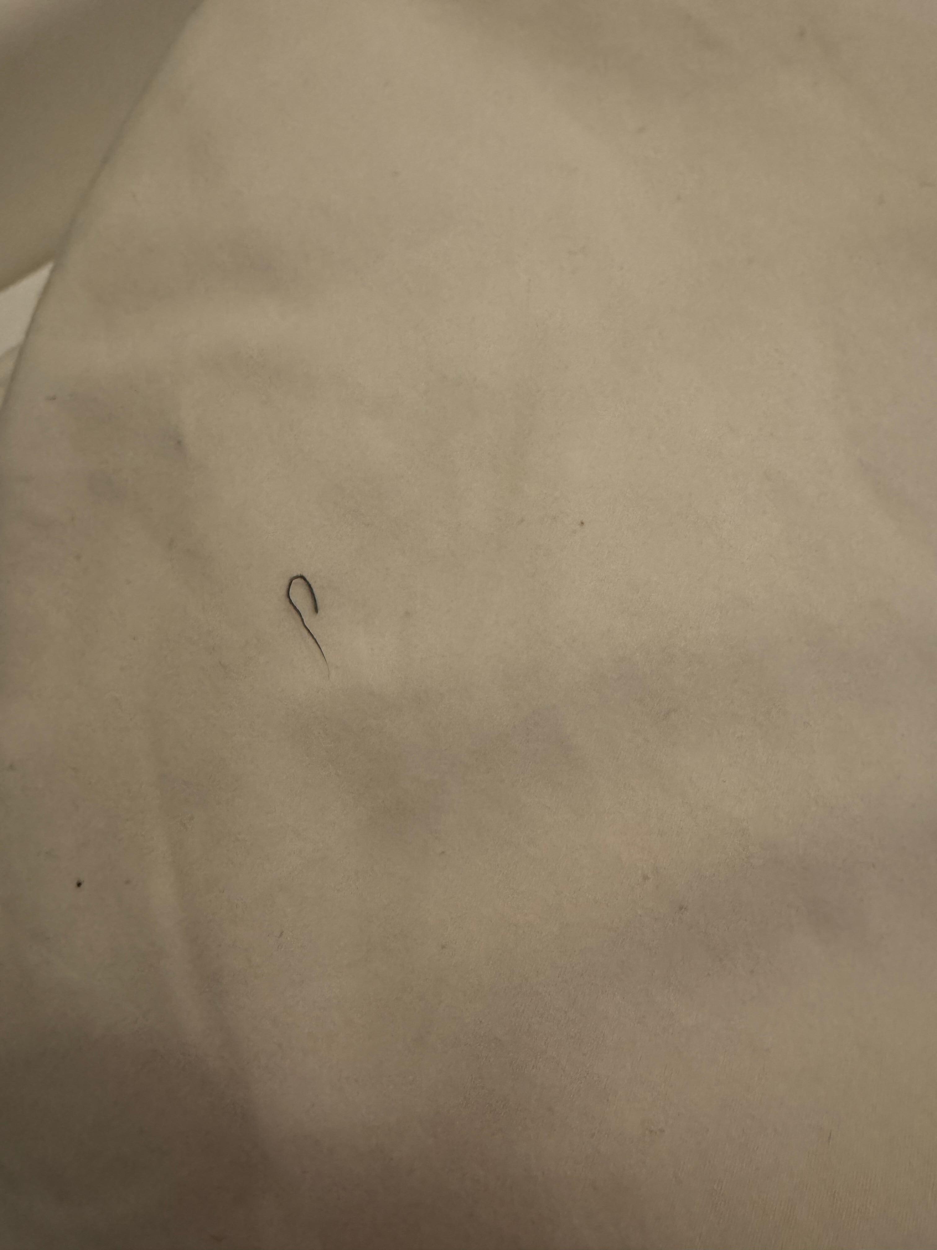 this was a hair on the sheets. we have red and blonde hair