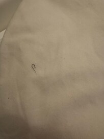 this was a hair on the sheets. we have red and blonde hair