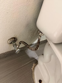 toilet disgusting, not sealed in place, and broken