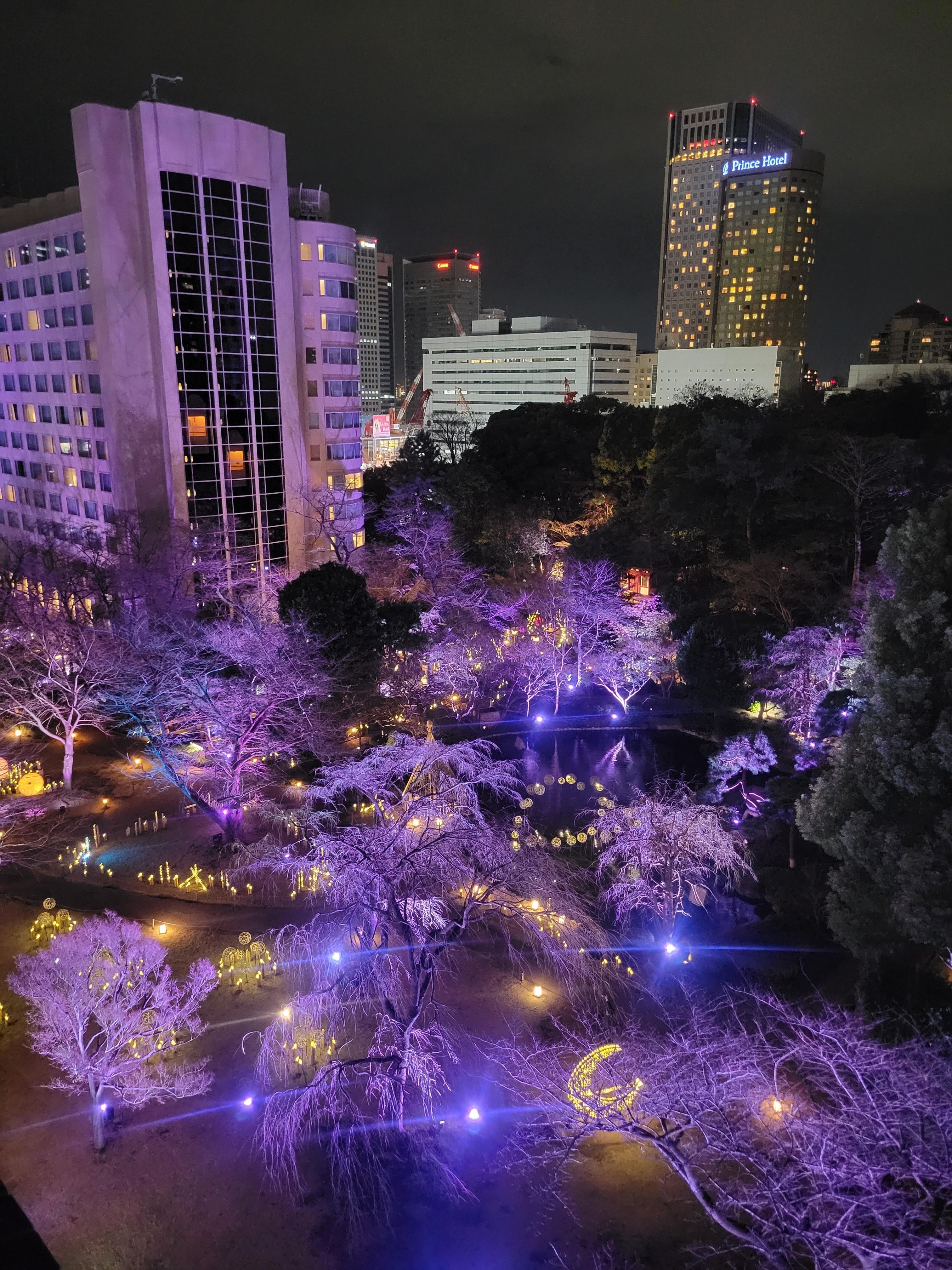  View of the garden from the room.