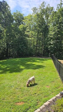 Beautiful fenced in area of the yard for the dogs