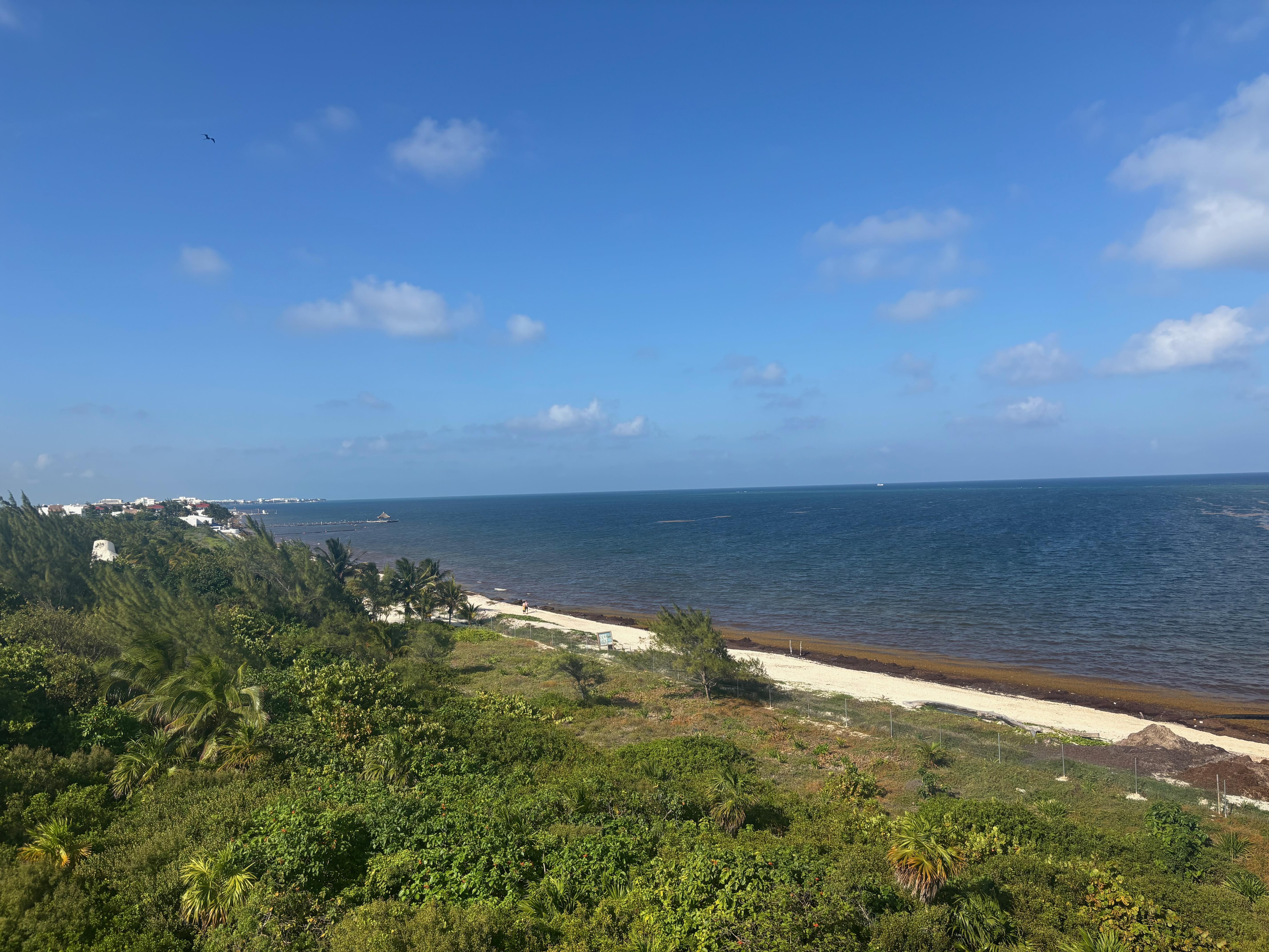 View from Oceanview Suite