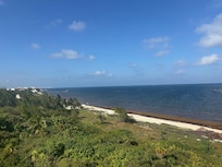 View from Oceanview Suite