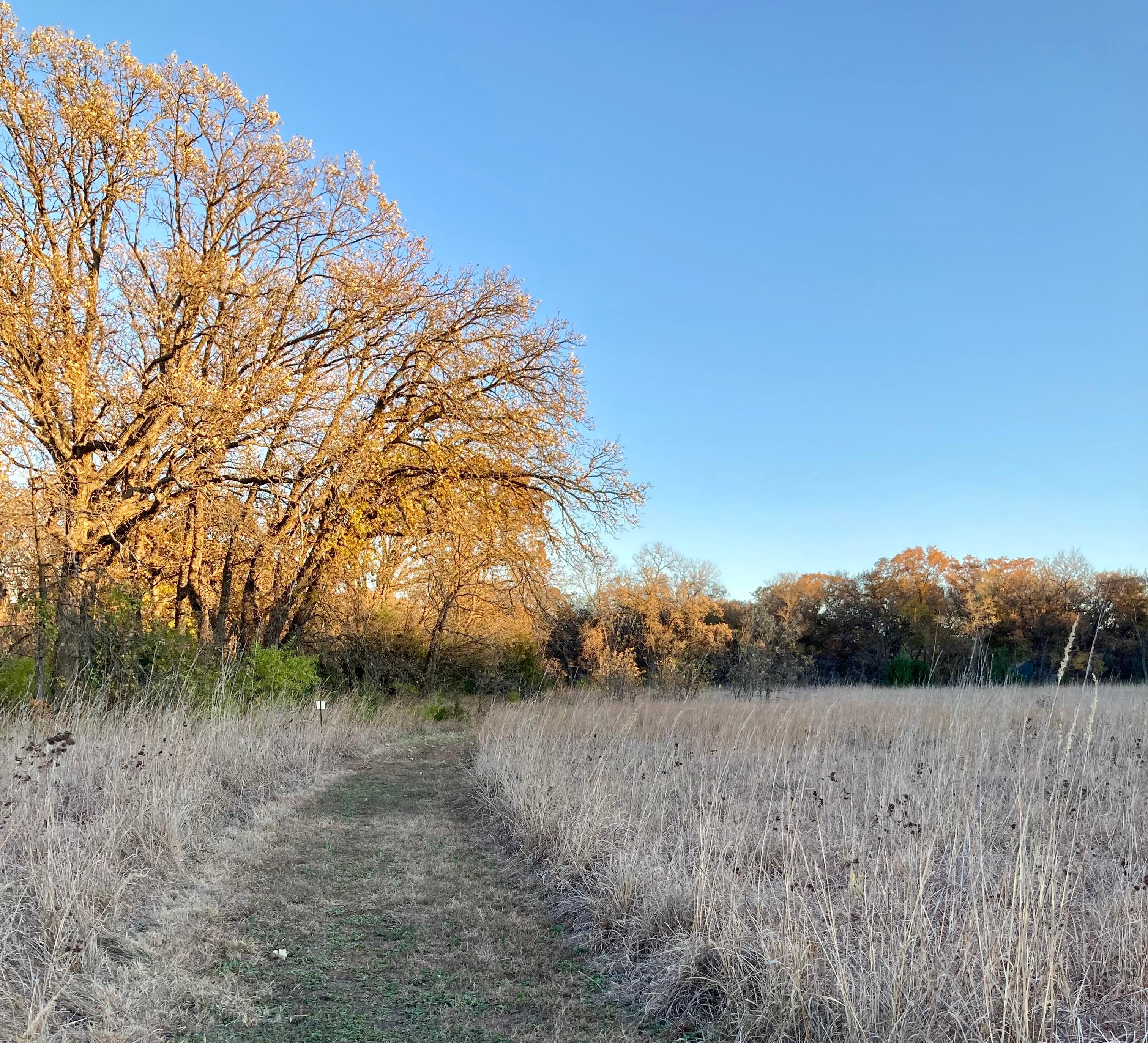 November Walnut Pond trail