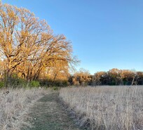 November Walnut Pond trail