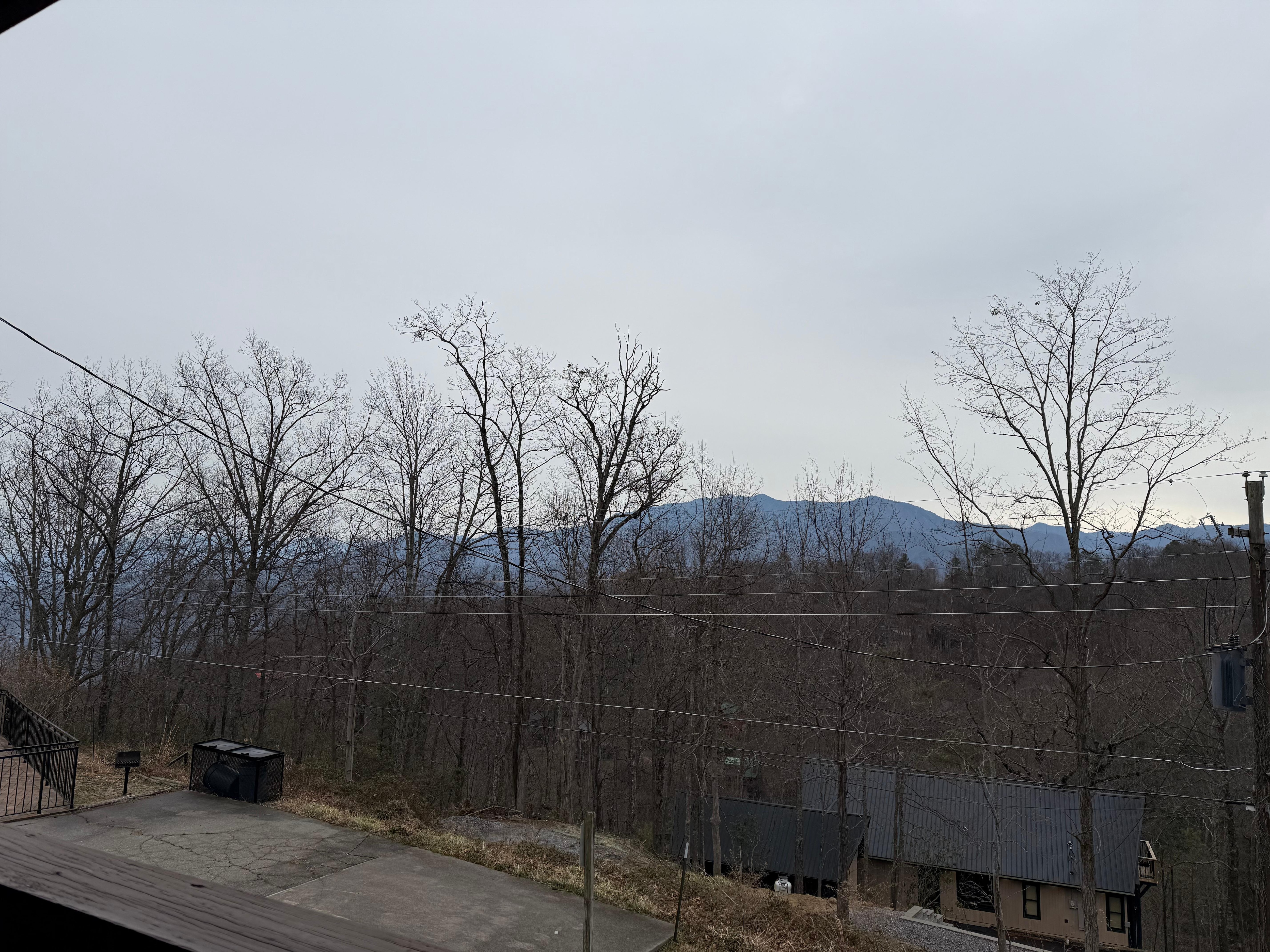 our last morning! so foggy but beautiful!