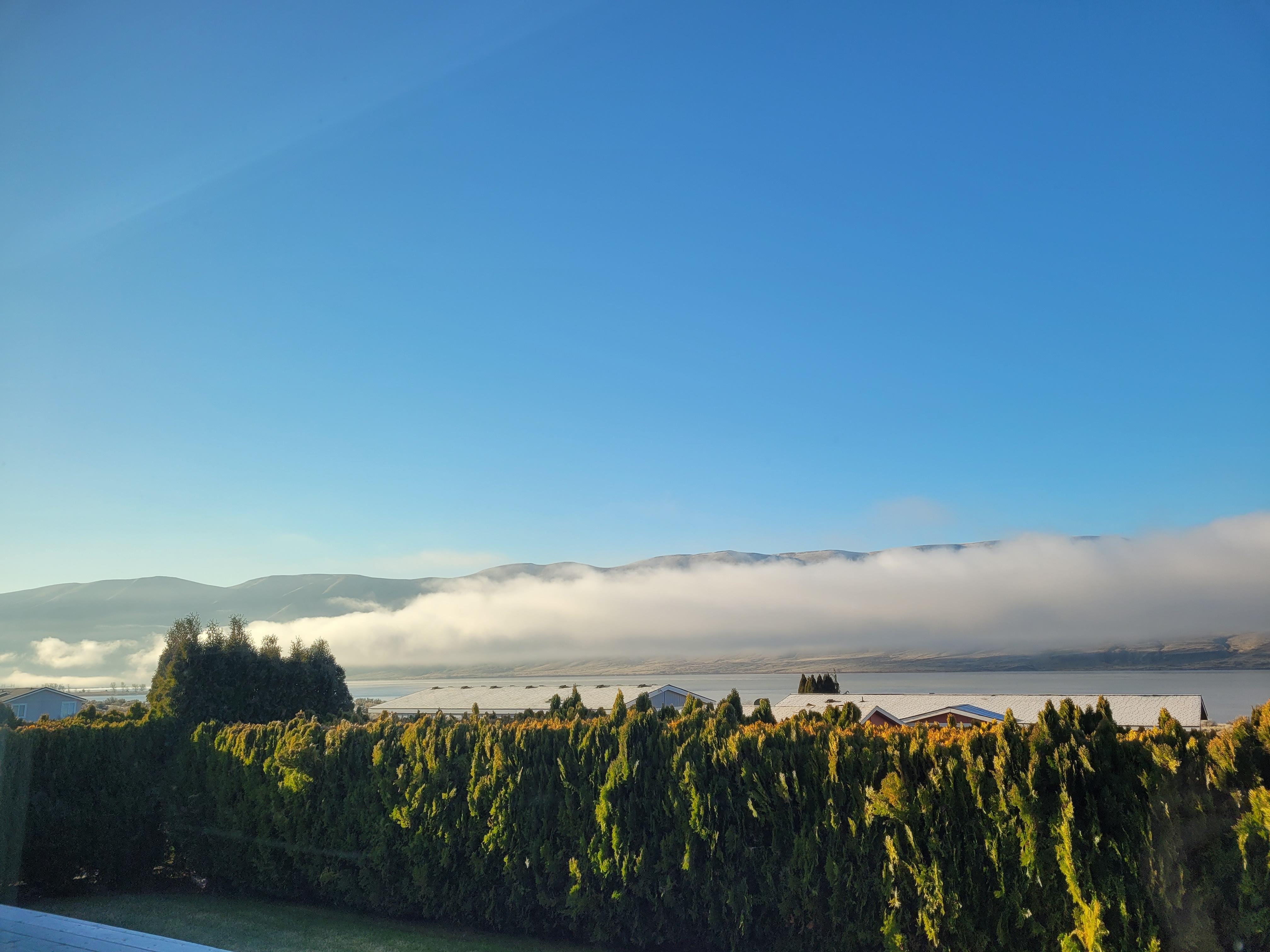 Morning fog bank on river
